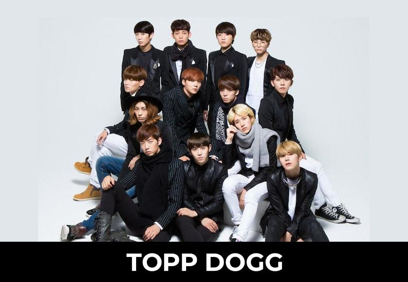 TOPP DOGG