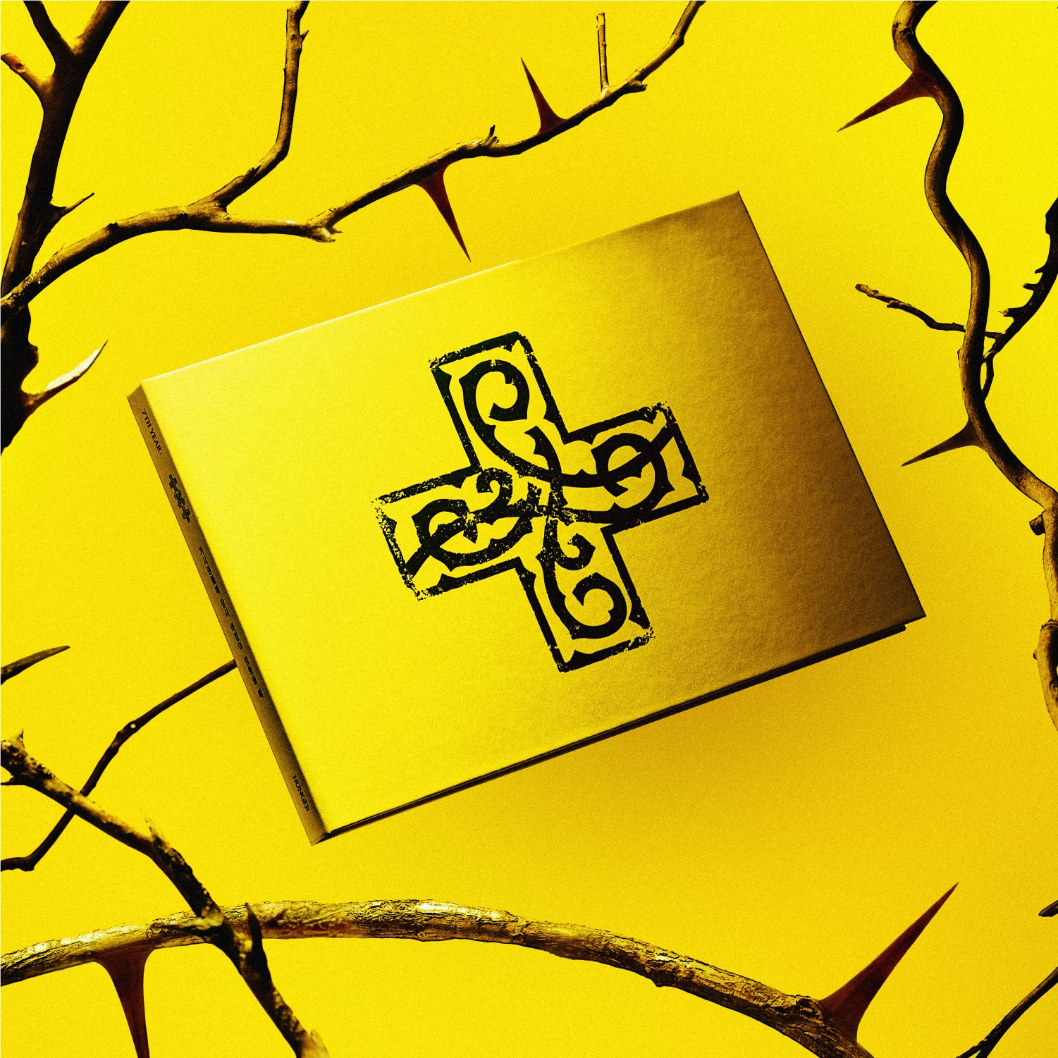 TOMORROW X TOGETHER - 7TH YEAR: A Moment of Stillness in the Thorns (HUNGER ver.)