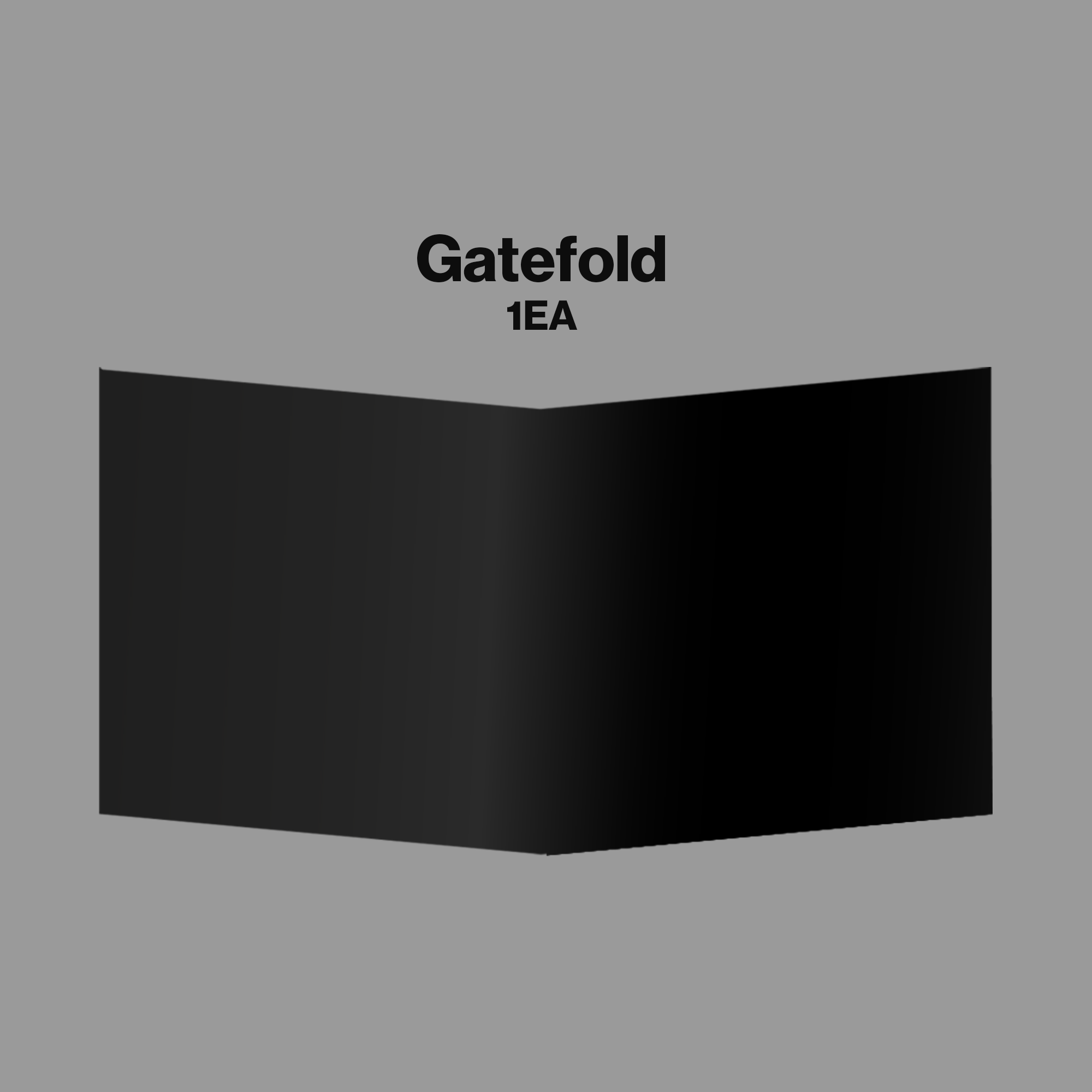 KATSEYE - WILD - Vinyle + Artcard dédicacée